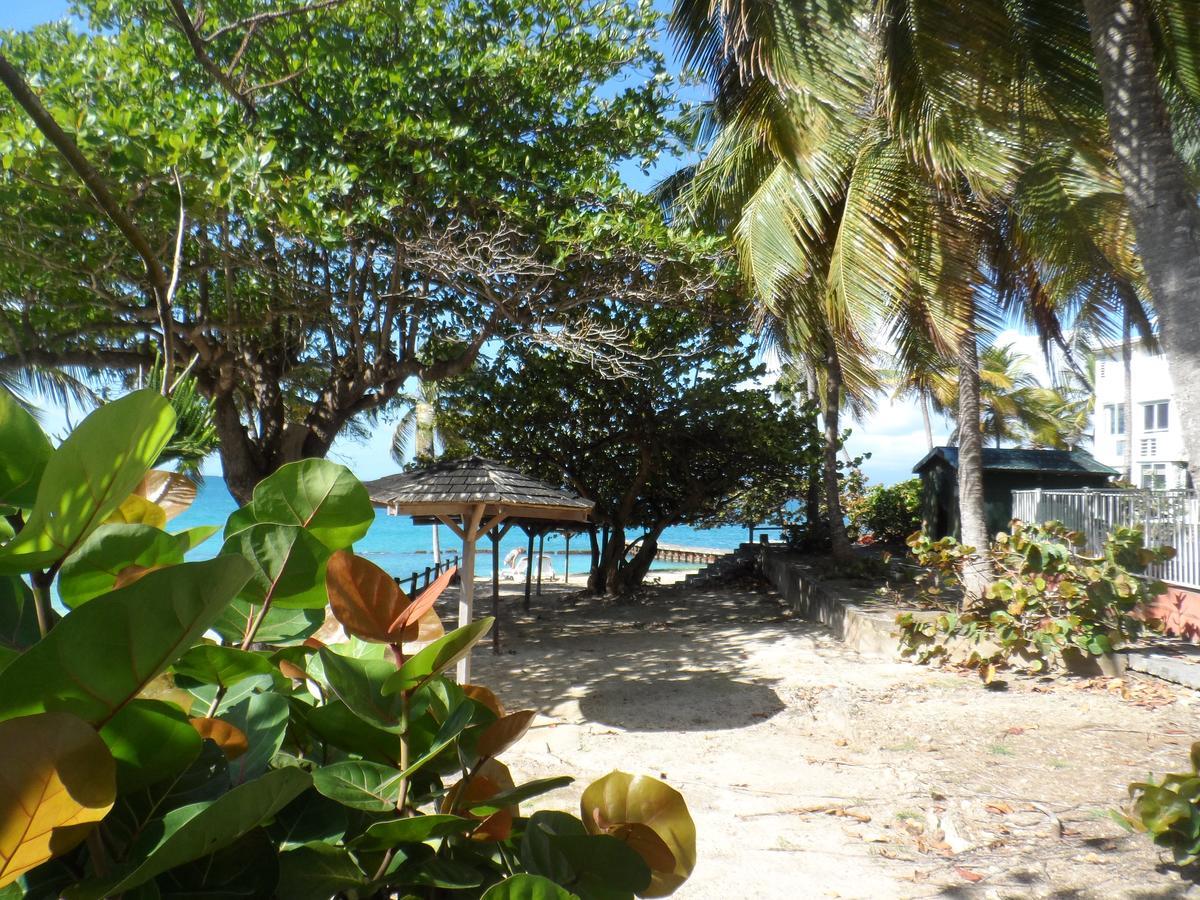 studio BLEU TURQUOISE Le Gosier  Extérieur photo